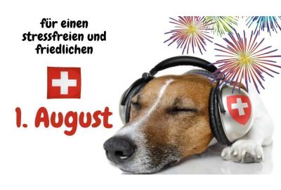 Knallerparty nichts für unsere Vierbeiner