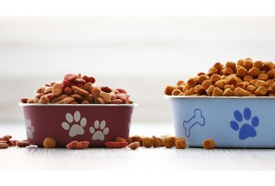 Wie hilfreich ist ein Hundefutter-Test