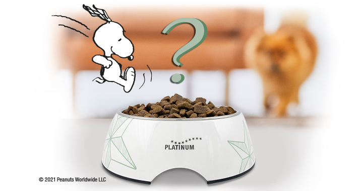 Das richtige Hundefutter finden! Der Futterberater zum hochwertigen Hundefutter von Platinum