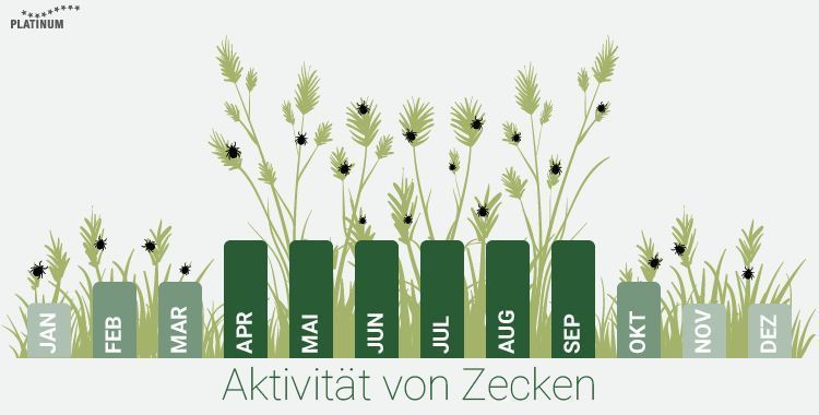 Wann sind Zecken aktiv? Von April bis September. Temperaturen ab 7 Grad fördern die Aktivität der Zecken.