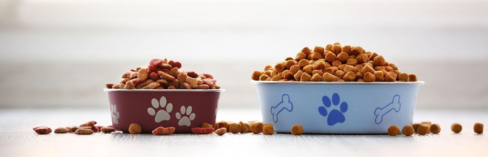 header_hundefuttertest_1600x515px