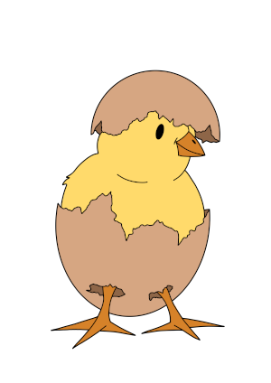 Küken_3